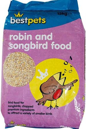 robin-and-songbird
