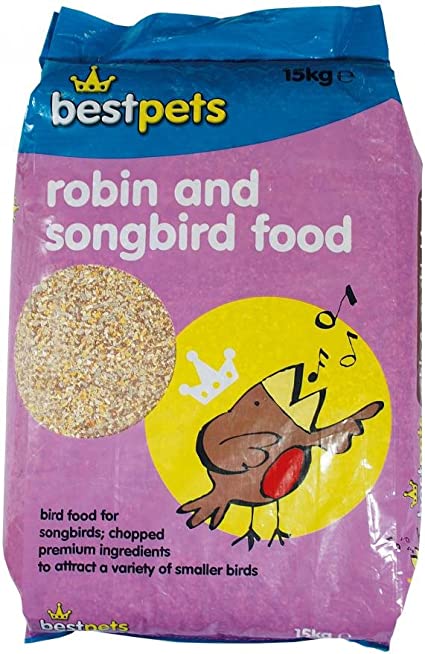 robin-and-songbird