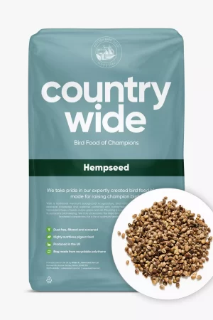 hempseed